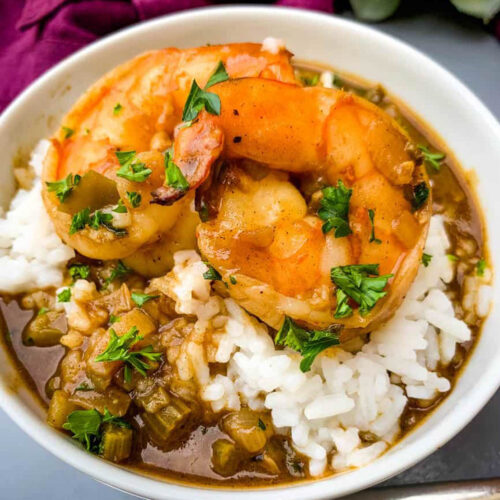 Shrimp Etouffee with rice in a white bowl