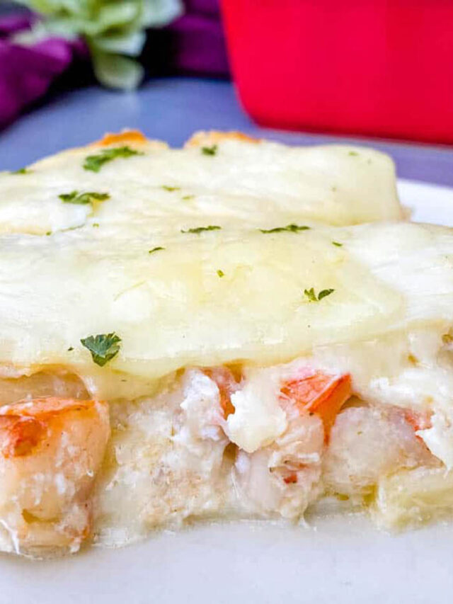 BEST SEAFOOD LASAGNA RECIPE!